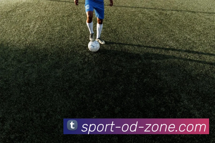 企业概况